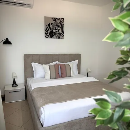 One אפורי נורד